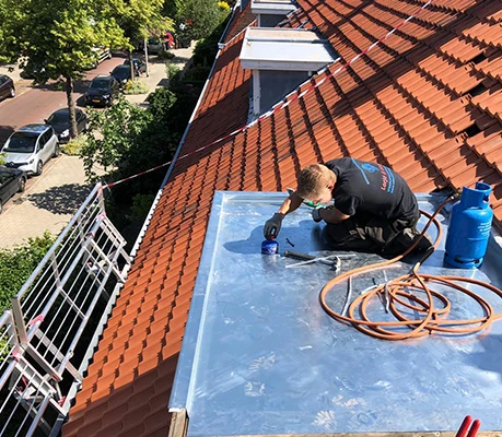 dakinspectie in den haag